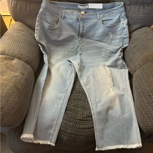 NWT Cato skinny crop size 24w